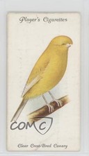 1933 Player's Aviary and Cage Birds Tobacco Clear Crest-Bred Canary #3 0y5