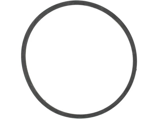 Junta tórica termostato para Ford F250 Super Duty 1999-2003 7,3 L V8 2001 2000 WB282MD Foto 1 de 1