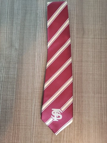 Eagles Wings Florida State University Seminoles Men's Necktie Cover