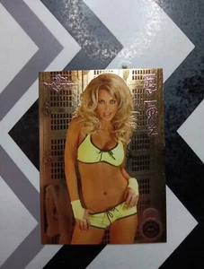 Lisa Ligon Bench Warmer 2005 Locker Room Insert Card 2 - Picture 1 of 2