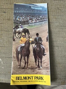 Vintage Horse Racing Program June 11, 1980 Belmont Park - Picture 1 of 11