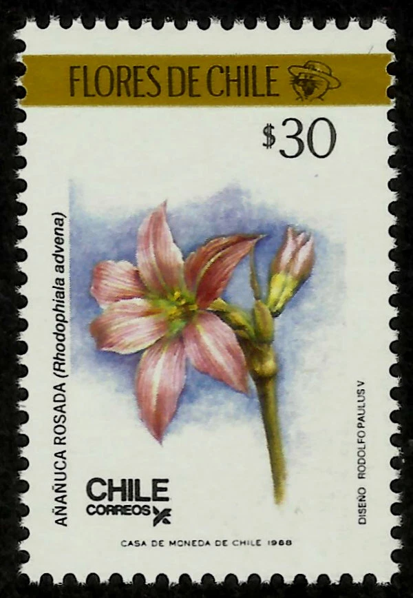FLORES SILVESTRES CHILENAS, AÑAÑUCA ROSADA, RHODOPHIALE ADVENA, AÑO 1988, MNH Foto 1 de 1