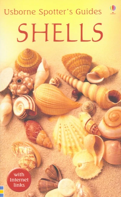 Shells (Paperback) - FREE Shipping - Image 1 of 1