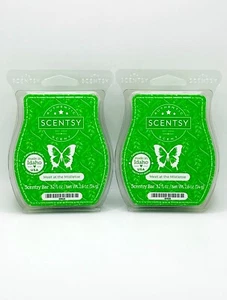 Scentsy Wax Bars Meet At The Mistletoe Discontinued 2 Pack New Ships w/ Icepack - Picture 1 of 4