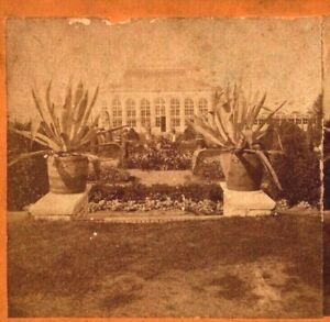 Shaw's Missouri Botanical Garden Parterre Palm House Boehl & Koenig Stereoview