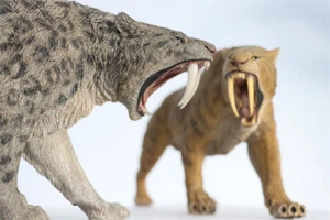 REBOR ICE AGE VER. DELUXE Smilodon Populator Stray Cat Modelo Machairodus Collect - Imagen 1 de 22