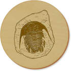 'Trilobite Fossil' Coaster Sets (CR030116)