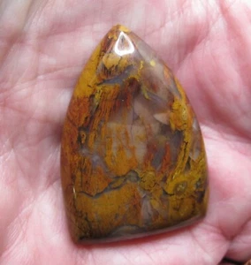 Colorado Petrified Wood * Cabochon *  57 cts. * Nice! Large - Picture 1 of 8
