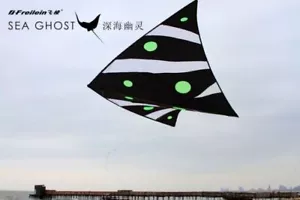 Freilein 1.8m Delta Single Line Kite Ultralight Zero-G with 5m Tail & 50m Line - Bild 1 von 5