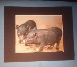 11" x 14" Matted 8" x 10" Print Painting of 2 Young Black Potbellied Piglets - Picture 1 of 3