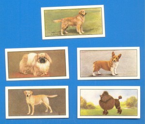 DOGS.Nos.1-5.5 CARDS ISSUED BY BARBERS TEAS IN 1961