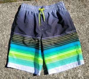 Boys Swim Trunks Wonder Nation Size 8 Multicolor Stripe Great Shape! - Picture 1 of 3