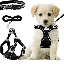 Arnés para perros, ajustable, sin tirones, fuerte para perros pequeños, reflectante - Imagen 1 de 4