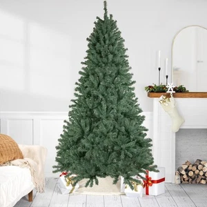 Northlight 7.5' Colorado Blue Spruce Artificial Christmas Tree, Unlit - Picture 1 of 6
