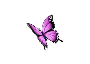 Light Pink Butterfly (T34k) Side View Butterfly Vinyl Decal Sticker - Foto 1 di 2