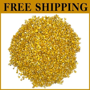 Versatile Bird Seed & Feed Corn 50 lb - Picture 1 of 2