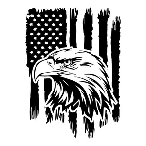 Distressed American Flag Eagle Head USA Patriotic Freedom Outdoor Decal Sticker - Picture 1 of 3