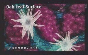 US 5802ao Life Magnified Oak Leaf Surface imperf NDC single MNH 2023 - Picture 1 of 1
