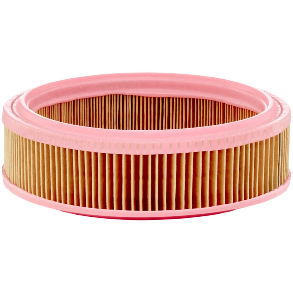 MANN-FILTER Filtereinsatz Luftfilter für Rover Mini-Moke Austin Metro C 2021 - Bild 1 von 1