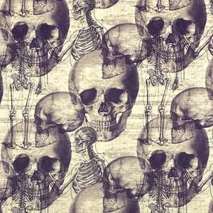 Halloween Skeleton Skulls David Textiles Sewing Quilting Cotton Fabric 1/2 Yard - Picture 1 of 4
