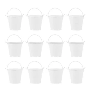 12 Pcs Portable Tin Bucket Small Hanging Garden Decor Flower Pots Child - Picture 1 of 12