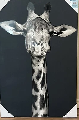 Giraffe Canvas Wall Art Picture Black And White 30” x 20” - Image 1 of 4