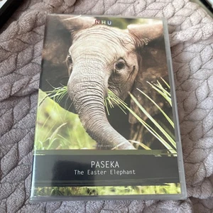 PASEKA The Easter Elephant - Natural History Unit Africa - S African DVD New! - Imagen 1 de 2