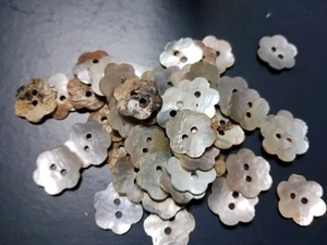 X6 Flower Shell 2 Hole Buttons 1.5cm - Picture 1 of 1