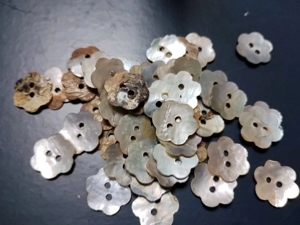 X6 Flower Shell 2 Hole Buttons 1.5cm - Image 1 of 1