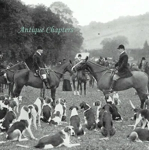 Hambledon Jagdtreffen 1908 Foto Artikel F979 - Bild 1 von 2