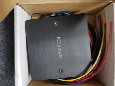 BANG & OLFSEN-ICEpower ICE250A 250W Amplifier Module + wires - Image 1 of 4