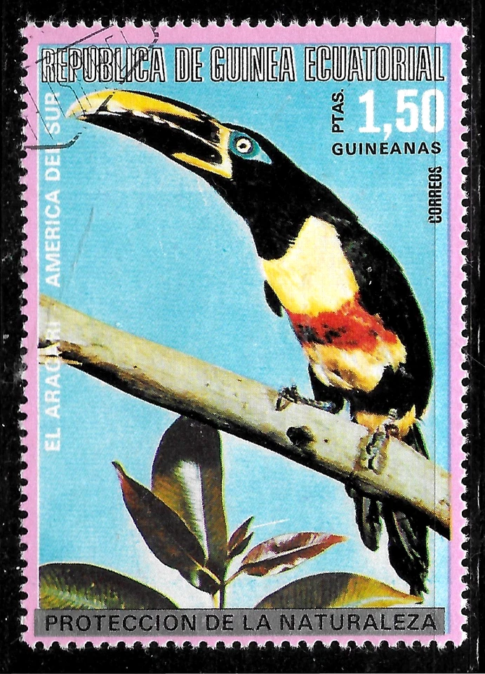 🔥Guinea Ecuatorial 1.50P🔥BIRD Guinea Negro Aracaris Tucán Pájaro carpintero USADO Foto 1 de 1