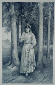 1870er Jahre Antik Radierung viktorianisches Frauenkleid Garten Sammlung Wald signiert - Bild 1 von 5