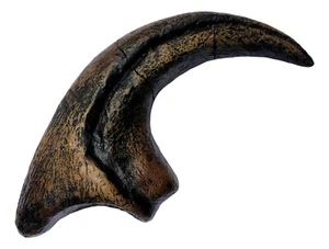 Allosaurus Kralle Replik Museum Qualität Dinosaurier fossile Probe Reproduktion - Bild 1 von 3