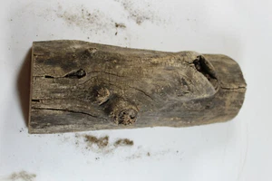 16 Zoll Ulme 1/2 Baumstamm Projekt Holz mit Hohlglied - Bild 1 von 5