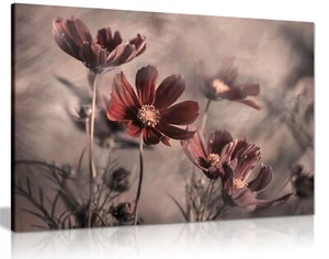 Rote Kosmos Blume Blumen Garten gerahmt Leinwand Druck Wandkunst Wohnkultur - Bild 1 von 6