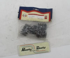 Harley 57-83 Sportster Twin Power Replacement Valve Springs OEM 18203-57A - Picture 1 of 8