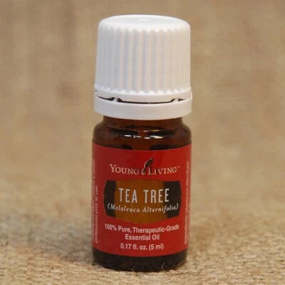 Young Living TEA TREE 5 mL Essential Oil NEW Unopened FREE SHIP in 24 hrs - Image 1 of 2