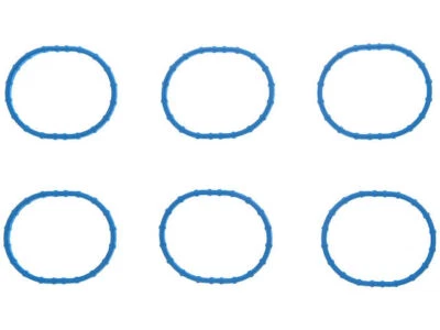 Juego de juntas de colector de admisión inferior 79248NYKB 2006 para Land Rover LR3 2005-2007 Foto 1 de 2