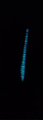 Señuelo Bagley DB08 caballa brillante Foto 1 de 4