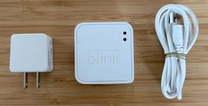 Blink OEM Indoor Security Camera Sync (Model BSM00201U) w/ Cables *TESTED* white - Picture 1 of 7