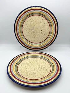 PFALTZGRAFF Sedona Dinner Plates 11.8” Hand Painted Multicolored Bands Set~2 - Picture 1 of 11
