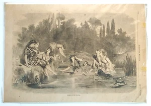 Harper's Weekly Ducks in the Water Damas Natación 28 de agosto 1869 Dibujo - Imagen 1 de 8
