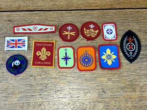 VINTAGE UK BOY SCOUTS ASSOCIATION PROFICIENCY SENIOR BADGES UNIFORM JOB LOT X11 - Picture 1 of 8