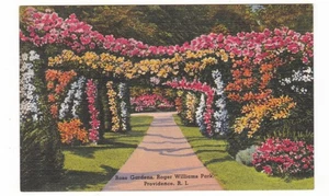 Providence, Rhode Island vintage linen postcard / Rose Gardens Roger Williams - Picture 1 of 2