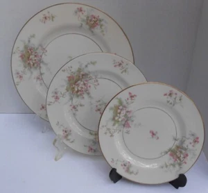 12 Stck. THEODORE HAVILAND NEW YORK APFELBLÜTE ABENDESSEN Salat Brot TELLER - Bild 1 von 5