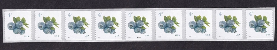 Scott #5653 Blueberries Plate # Coil (PNC9) of 9 Stamps - MNH - Image 1 of 1