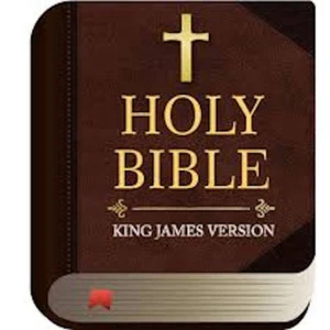 King James Version Audio Bible Christian KJV All 66 Books on 1 MP3 DVD Free Ship - Picture 1 of 1