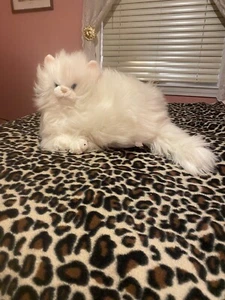 Perserkatze, sieht echt aus - Bild 1 von 4