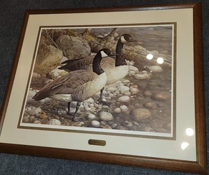 Carl Brenders Survivors - Canada Geese Signed And Framed #1317 Of 1500 - Picture 1 of 10